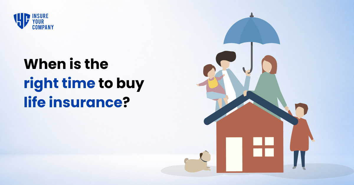 Insure Your Company