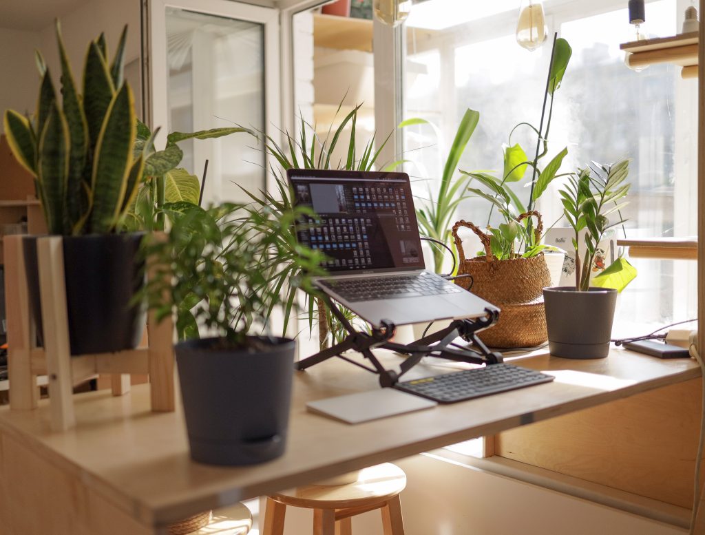 Work from home office with plants